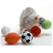 Marshall Ferret Sport Balls ( pacote de 2 variados )