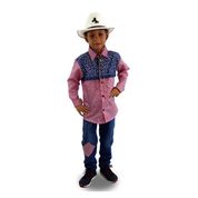 Roupa Country Infantil Masculina Camisa Xadrez Manga Longa