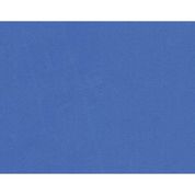 TATAME 50X50CM AZUL 10MM.