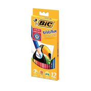 Lapis De Cor 12 Cores  Bic Evolution Ponta Mais Resistente