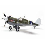 Avião P-40M 44FS 18FG 1:48 Easy Model