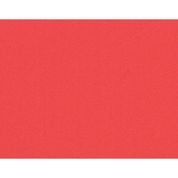 TATAME 50X50CM VERMELHO 10MM.