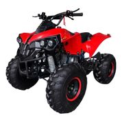 Quadriciclo 125cc com Ré Motor 4 Tempos Partida Elétrica WATVR125VM - Vermelho