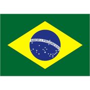 COPA DO MUNDO 2022 BANDEIRA BR.TEC. S/HASTE 45X60 PCT.C/20