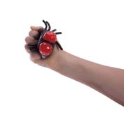 Figura de Apertar - Squish Mania Spider - Aranha - Toyng