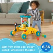 FISHER-PRICE ANDADOR DE DOIS LADOS