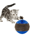 Brinquedo Bolinha Cat Play