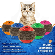 Brinquedo Bolinha Cat Play