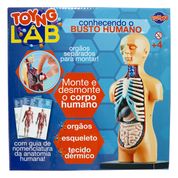 Jogo Educativo - Conhecendo o Busto Humano - Toyng