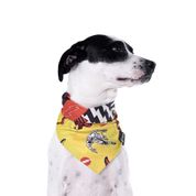 Bandana Para Cães - The Flash - Tam G - Amarelo - Freefaro