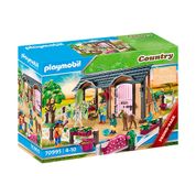 Playmobil - Country - Aulas de Equitação - 70995 - Sunny