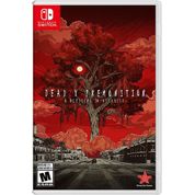 Deadly Premonition 2: A Blessing in Disguise  - Switch