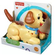 Meu Primeiro Cachorrinho - Fisher Price - Mattel