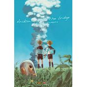 Arakawa Under The Bridge Vol. 13