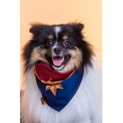 Bandana Pet Captain Marvel G/GG