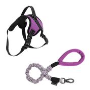 Combo Pet - Guia Antishock Roxa 2,5 x 105cm e Peitoral Air Pull Roxo Tam. P Mimo - PP380K PP380K