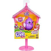 Little Live PETS Passaro NA Casinha Rosa FUN F0165-0