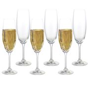 Conjunto com 6 Taças para degustação de champagne em cristal ecológico Sommelier 220ml