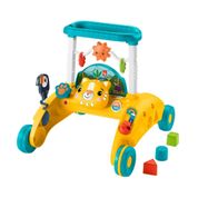 Fisher-Price Andador Primeiros Passos - Mattel