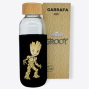 Garrafa Eco Groot