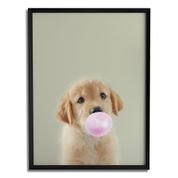 Quadro Decorativo Golden Filhote Chiclete