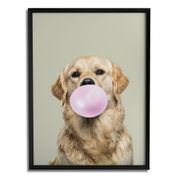 Quadro Decorativo Golden Chiclete