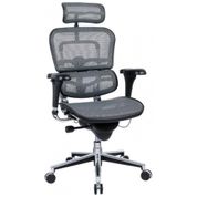 Ergohuman Cadeira de Escritório Executiva Ergonômica G