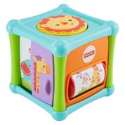 Brinquedo Cubo Animaizinhos Divertidos Fisher-Price Colorido