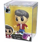 FANDOMBOX JOEY FRIENDS - LIDER