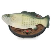 Big Mouth Billy Bass - Peixe Cantor - Funtime