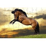 Kit 2 Quebra-Cabeça Inclusivos  Beleza de Cavalos em 60 Peças