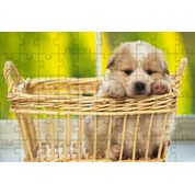 Kit 2 Quebra-Cabeça Inclusivos  Beleza dos Cachorrros em 24 Peças grandes