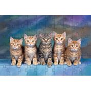 Quebra-Cabeças Gatinhos de 60 peças  Educativo e Inteligente