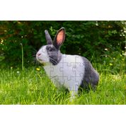 Kit 2 Quebra-Cabeça Inclusivos Belos Coelhos em 60 Peças
