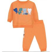 Conjunto Manga LongaTigor T Tigre Estampa Laranja