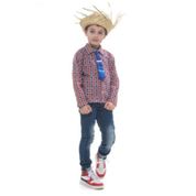 Roupa Festa Junina Infantil Camisa Xadrez Chapeu e Gravata